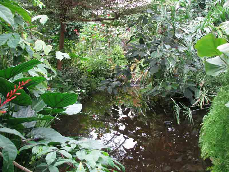 jardin-equatorial-naturospace