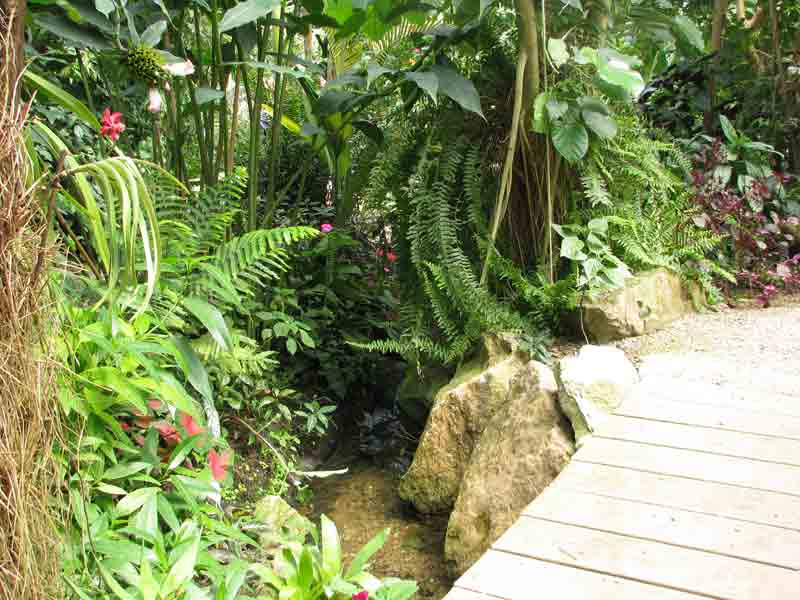 jardin-tropical-naturospace