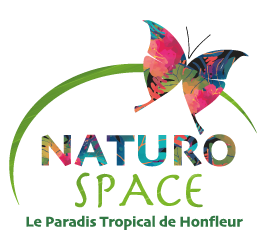 Naturospace, la serre tropicale avec oiseaux et papillons en liberté,au coeur de la Normandie à Honfleur