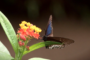 Prendre le temps de visiter le Naturospace…