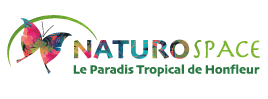 Naturospace: Serre tropicale Honfleur - 