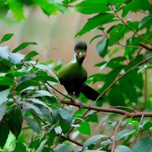 320251125 852321622680917 939525574297371719 n