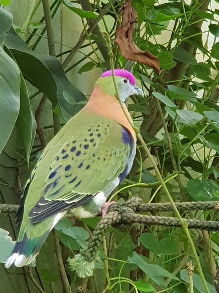 vacances de toussaint a Honfleur