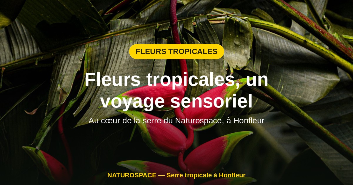 fleurs tropicales naturospace