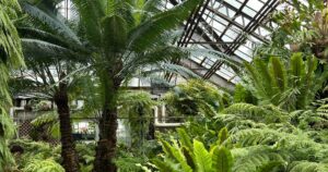 jardin tropical naturospace pexels 37526673