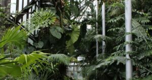 meilleur moment pour visiter le naturospace pexels 10812796