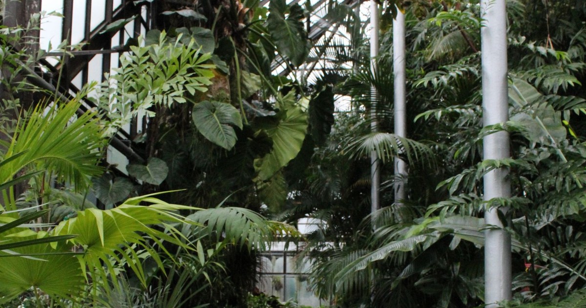 meilleur moment pour visiter le naturospace pexels 10812796